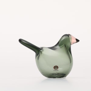 Birds Sieppo パイングリーン×サーモンピンク 0229