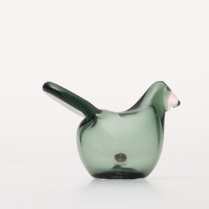 Birds Sieppo パイングリーン×サーモンピンク 0230