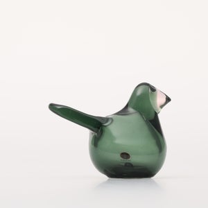 Birds Sieppo パイングリーン×サーモンピンク 0231