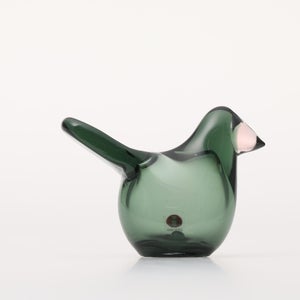 Birds Sieppo パイングリーン×サーモンピンク 0232