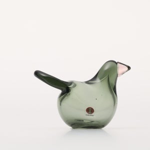 Birds Sieppo パイングリーン×サーモンピンク 0233