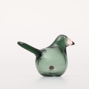 Birds Sieppo パイングリーン×サーモンピンク 0235