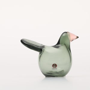 Birds Sieppo パイングリーン×サーモンピンク 0237