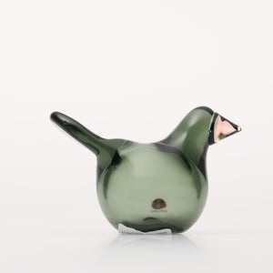 Birds Sieppo パイングリーン×サーモンピンク 0238