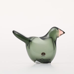 Birds Sieppo パイングリーン×サーモンピンク 0239