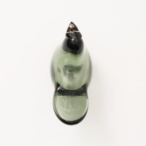 Birds Sieppo パイングリーン×サーモンピンク 0163