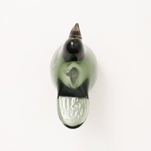 Birds Sieppo パイングリーン×サーモンピンク 0200