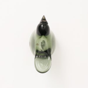 Birds Sieppo パイングリーン×サーモンピンク 0209