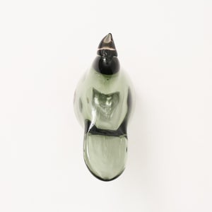 Birds Sieppo パイングリーン×サーモンピンク 0213