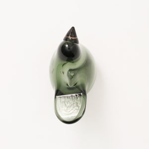 Birds Sieppo パイングリーン×サーモンピンク 0221