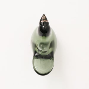 Birds Sieppo パイングリーン×サーモンピンク 0224