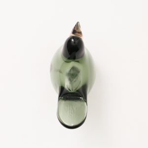 Birds Sieppo パイングリーン×サーモンピンク 0238