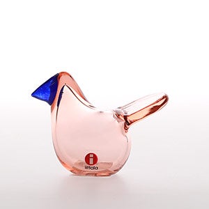 Birds Sieppo サーモンピンク×ブルー 0440