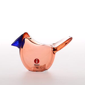 Birds Sieppo サーモンピンク×ブルー 0441