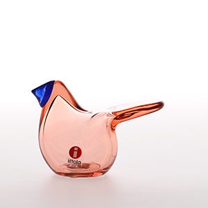 Birds Sieppo サーモンピンク×ブルー 0446