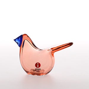 Birds Sieppo サーモンピンク×ブルー 0454