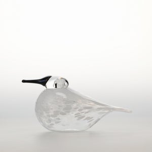 Birds Snow Finch 0001