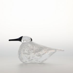 Birds Snow Finch 0017