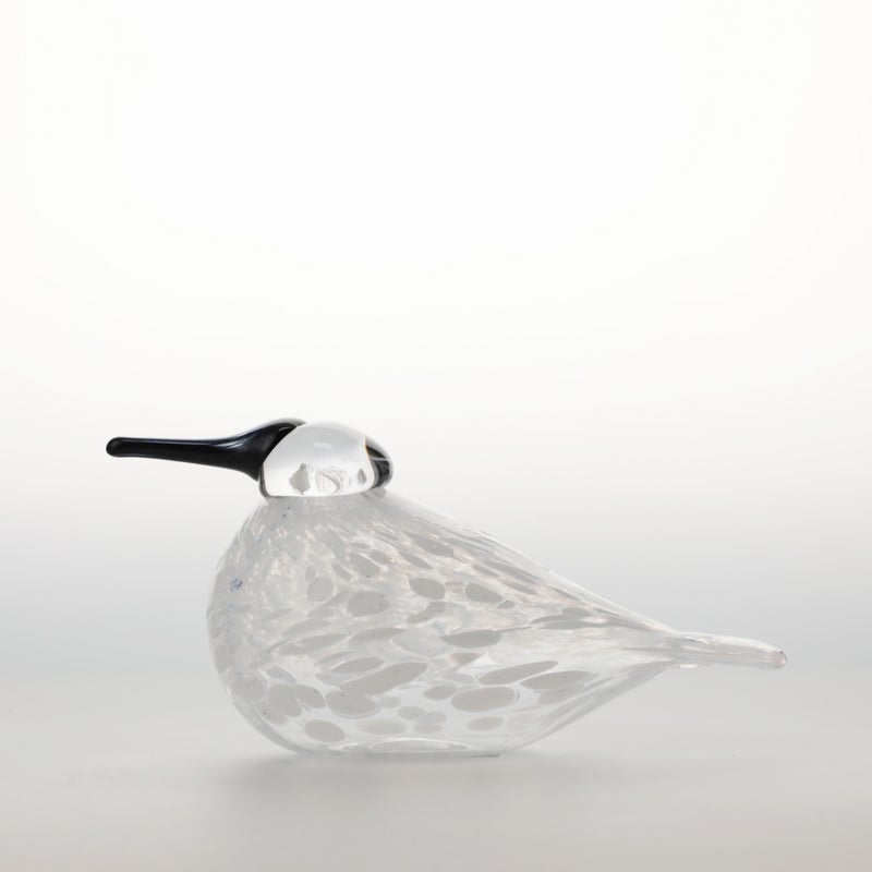 iittala Snow Finch 冬季限定バード｜SCOPE（スコープ）