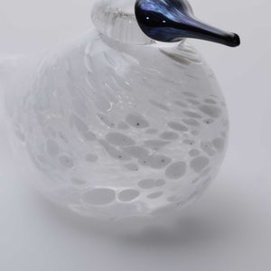 Birds Snow Finch 0001