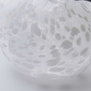 Birds Snow Finch 0004