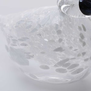 Birds Snow Finch 0006