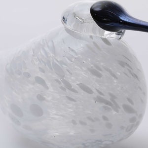 Birds Snow Finch 0009