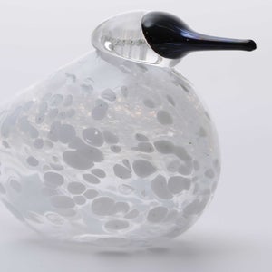 Birds Snow Finch 0010