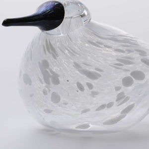 Birds Snow Finch 0011