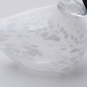 Birds Snow Finch 0013