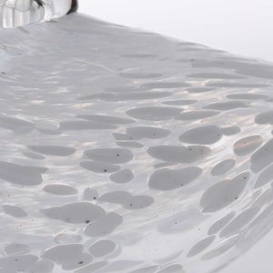 Birds Snow Finch 0016