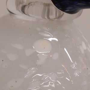 Birds Snow Finch 0017