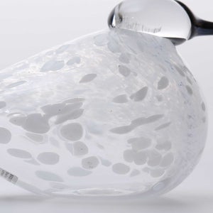 Birds Snow Finch 0019