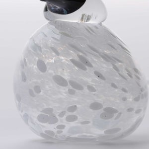 Birds Snow Finch 0020