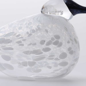 Birds Snow Finch 0021