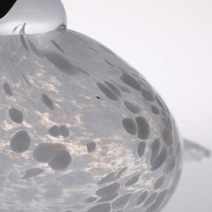 Birds Snow Finch 0024