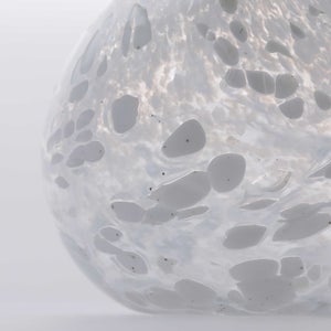 Birds Snow Finch 0026