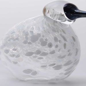 Birds Snow Finch 0027