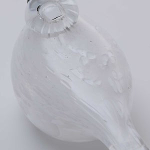 Birds Snow Finch 0028