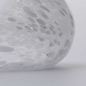 Birds Snow Finch 0030