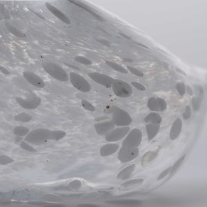 Birds Snow Finch 0031