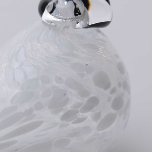 Birds Snow Finch 0033