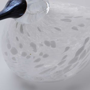 Birds Snow Finch 0034