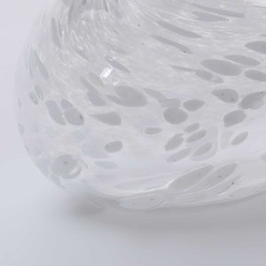 Birds Snow Finch 0035