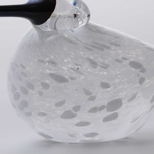 Birds Snow Finch 0036