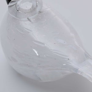 Birds Snow Finch 0037