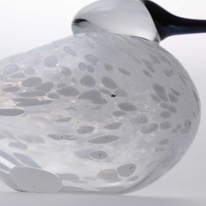 Birds Snow Finch 0038