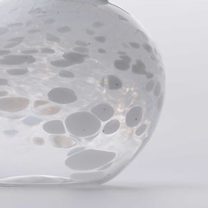 Birds Snow Finch 0039