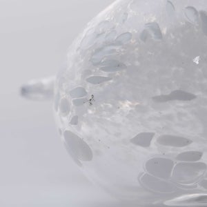 Birds Snow Finch 0040