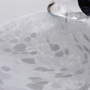 Birds Snow Finch 0041